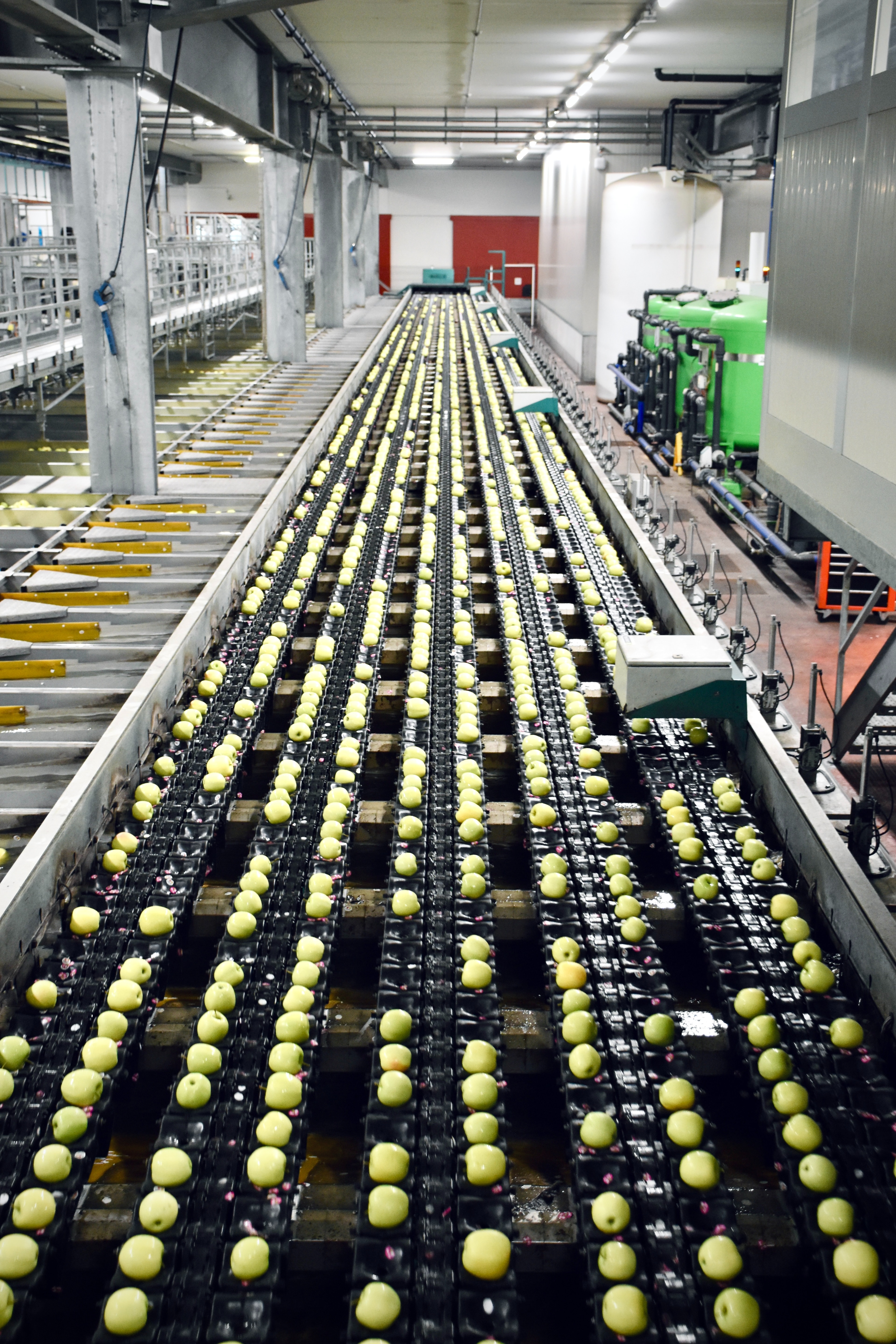 Business Automation